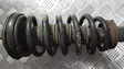 Front coil spring