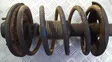 Front coil spring