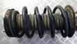 Front coil spring