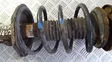 Front coil spring