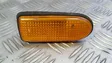 Front fender indicator light