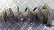 Rear coil spring