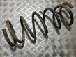 Front coil spring