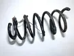 Front coil spring