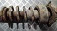 Rear coil spring