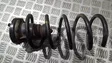 Rear coil spring