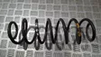 Rear coil spring