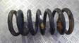 Front coil spring