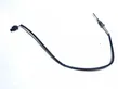 Exhaust gas temperature sensor