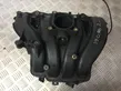 Intake manifold