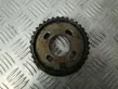 Camshaft pulley/ VANOS