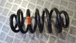 Rear coil spring