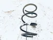 Front coil spring