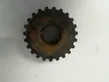 Crankshaft pulley