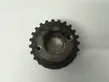 Crankshaft pulley