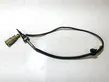 Exhaust gas temperature sensor