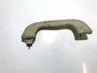 Front interior roof grab handle