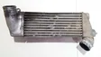 Intercooler radiator