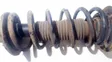 Front coil spring