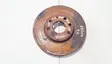 Front brake disc