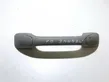 Front interior roof grab handle