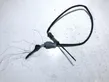 Exhaust gas temperature sensor