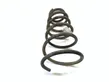 Rear coil spring