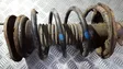 Front coil spring