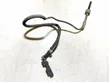 Exhaust gas temperature sensor