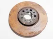 Front brake disc