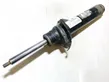 Front shock absorber/damper