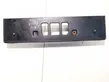 Trunk door license plate light bar