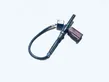 Exhaust gas temperature sensor