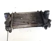 Intercooler radiator