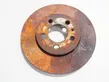 Front brake disc