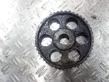 Camshaft pulley/ VANOS