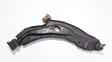 Front lower control arm/wishbone