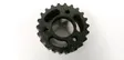 Fuel pump gear (pulley)