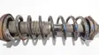 Rear coil spring