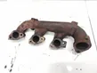 Exhaust manifold