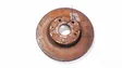 Front brake disc