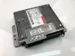 Engine control unit/module ECU