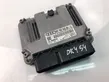 Engine control unit/module ECU