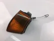 Front fender indicator light