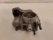 Throttle body valve