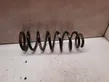 Rear coil spring