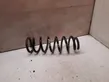 Rear coil spring