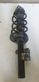 Front shock absorber with coil spring