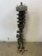 Front shock absorber with coil spring