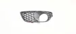 Grille antibrouillard avant